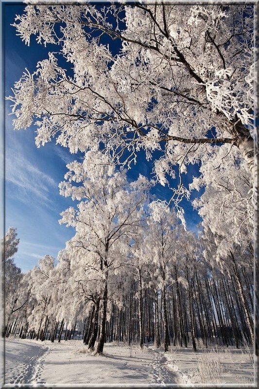 inej... фото превью