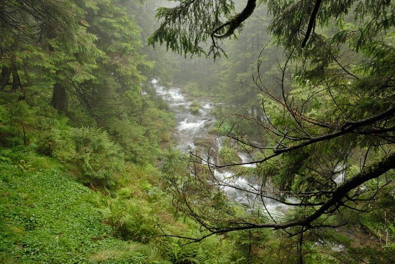 влажность фото превью