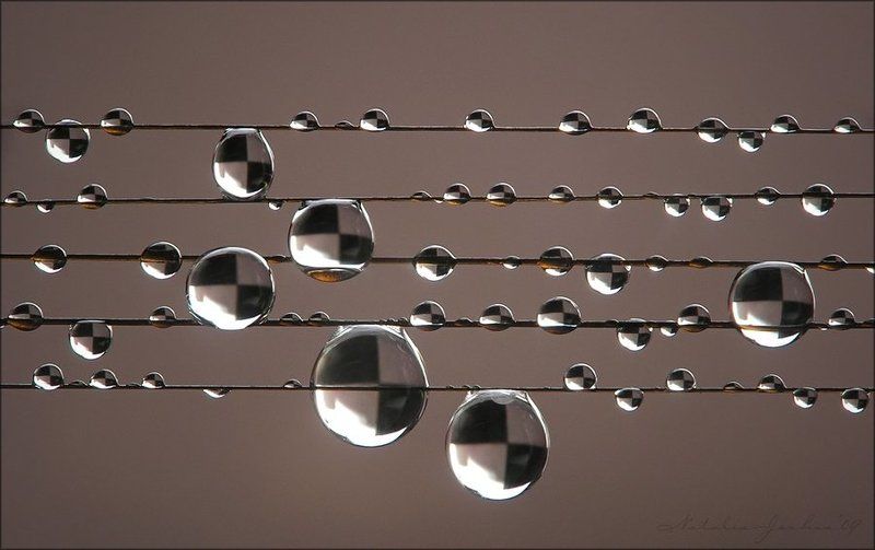 drop, water, air, капля, вода, воздух, natalia, jeshoa art-macro T a x i B l u e s фото превью