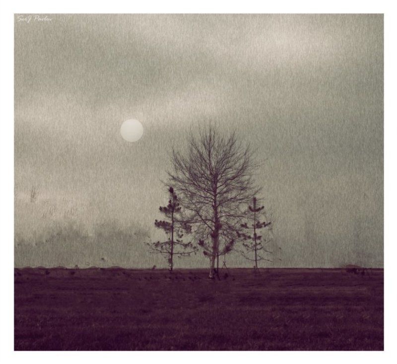 с берега ветер принес .. фото превью