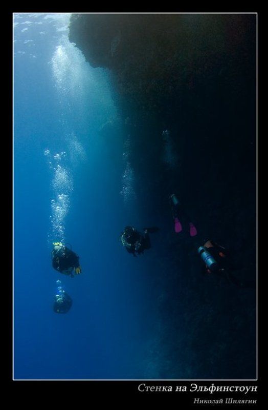 красное море, марса-алам, эльфинстоун Стенка на Эльфинстоун фото превью