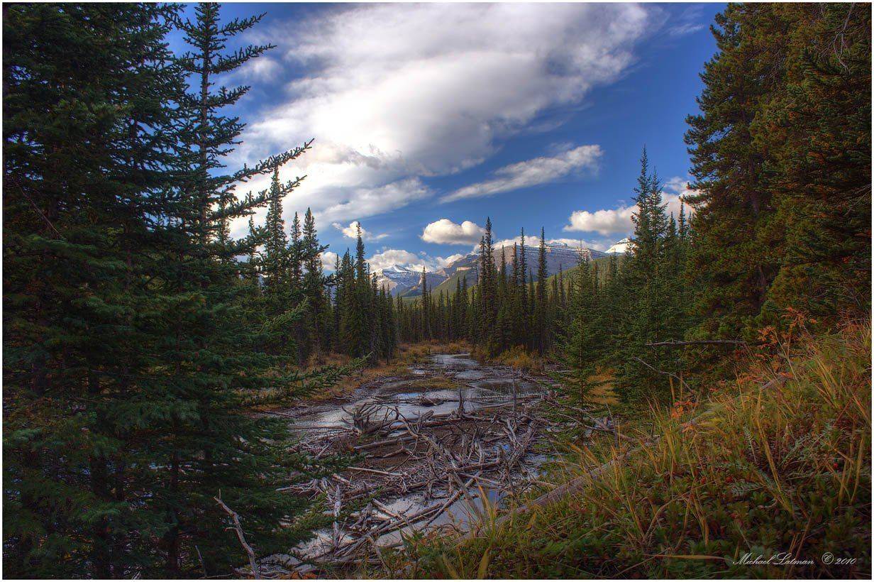 fall, rocky, mountains, cowberry, Michael Latman