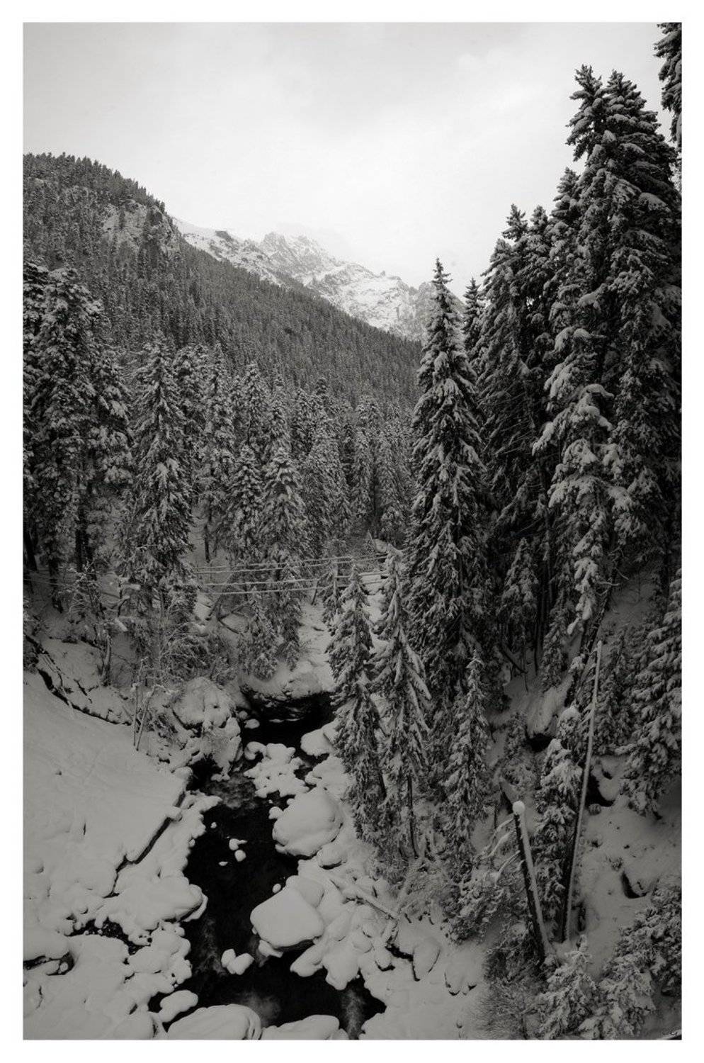 домбай, горы, D.G.