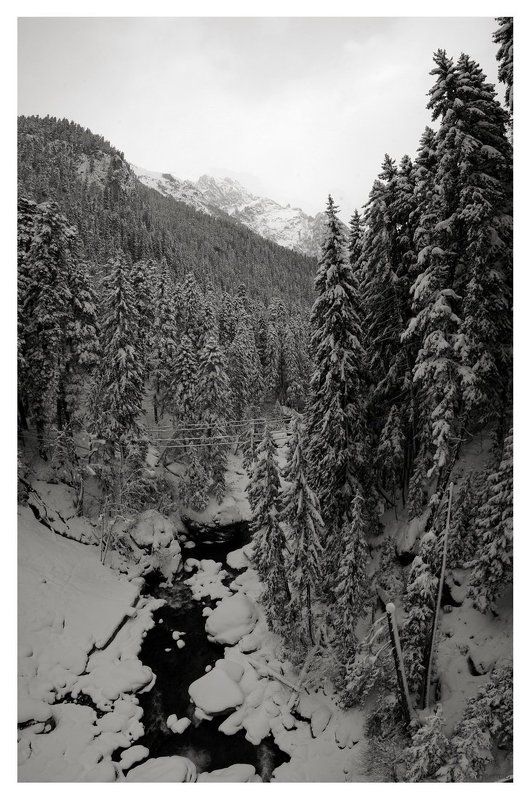 домбай, горы Снежный Домбай ... (ч\\б) фото превью