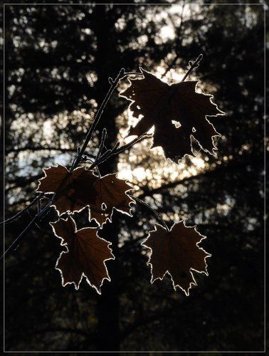 Зимний наряд