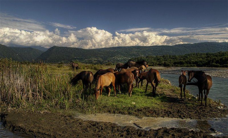 *** фото превью