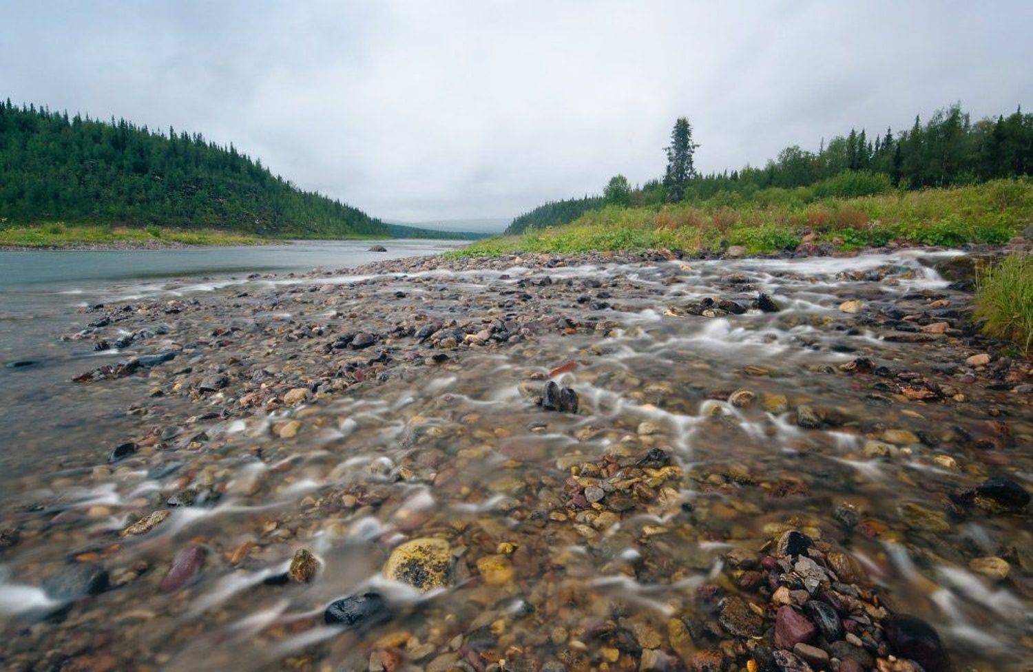 ручей, урал, Dmitry Shirokov