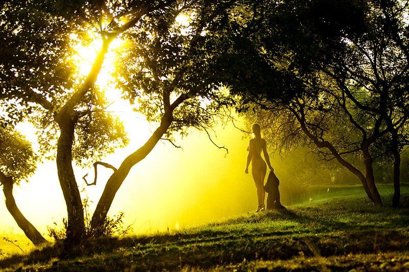 женщина утром, ню Встреча нового дня фото превью