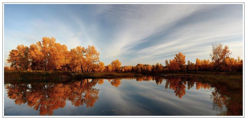 БЛЮЗ ОПАДАЮЩИХ ЛИСТЬЕВ фото превью