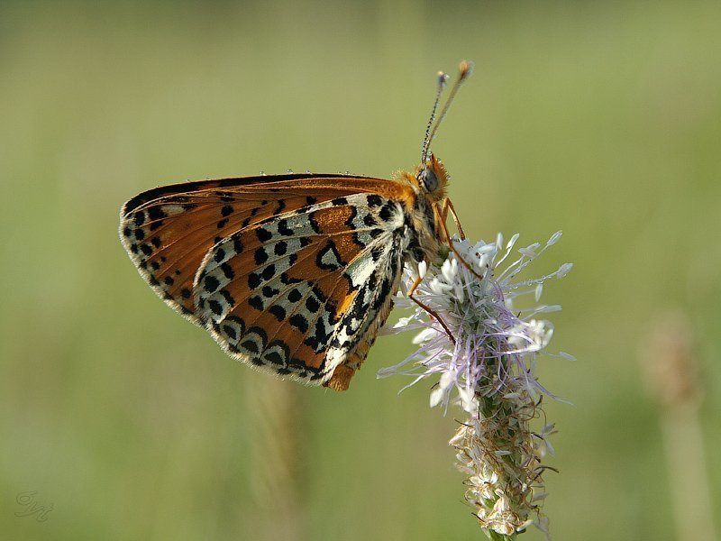 За минуту до взлета фото превью