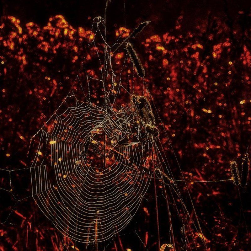 Мишень, или Три секунды до гибели Вселенной (2008) фото превью