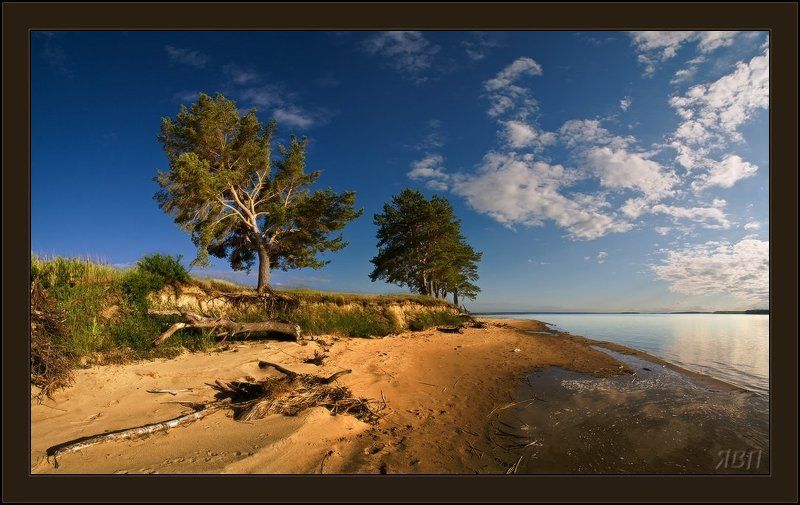 Картинка из Лета фото превью