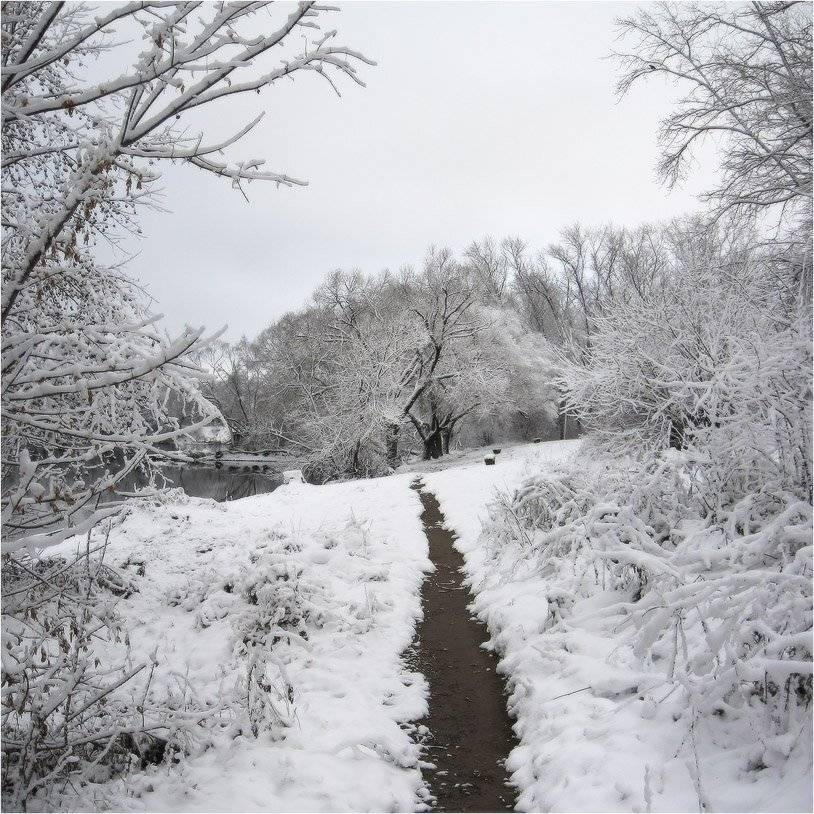 снег, КарОл