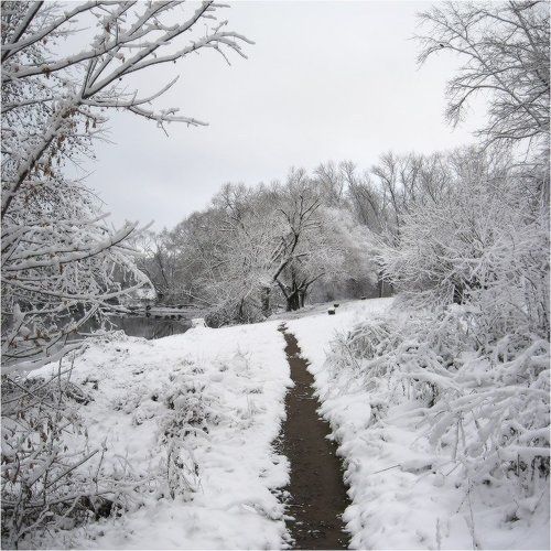 Первый снег