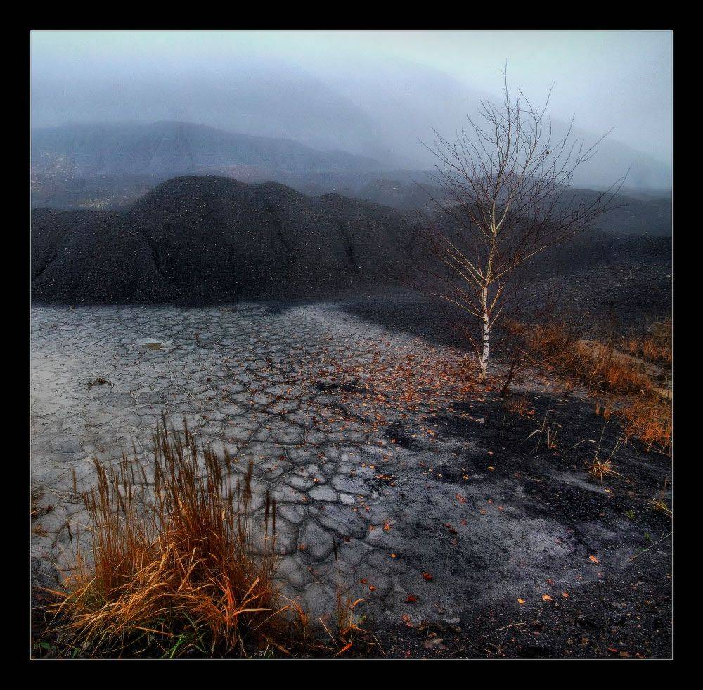 осень, террикон, Петриченко Валерий