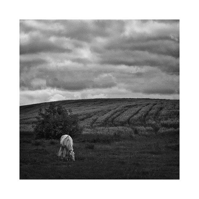 , Полищук И.В.