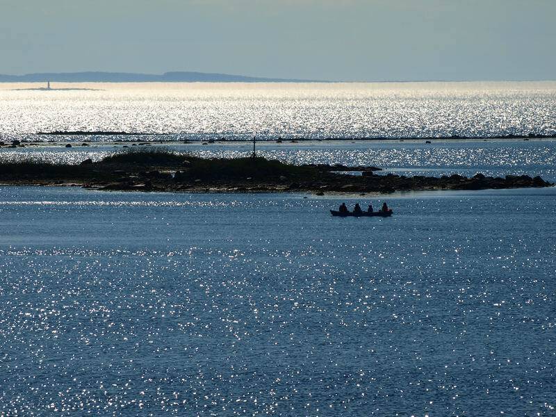 пейзаж, николай дмитрук
