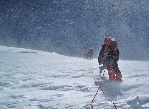 Нежданные гости