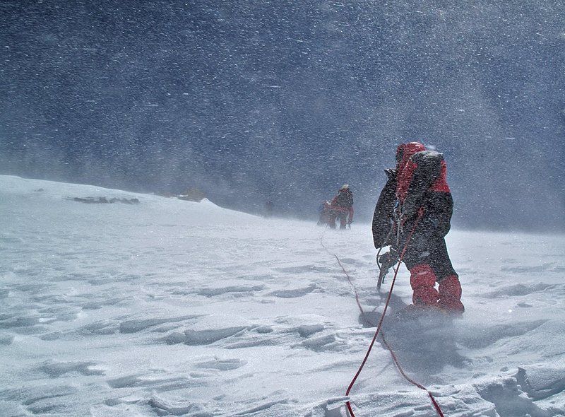 Нежданные гости фото превью