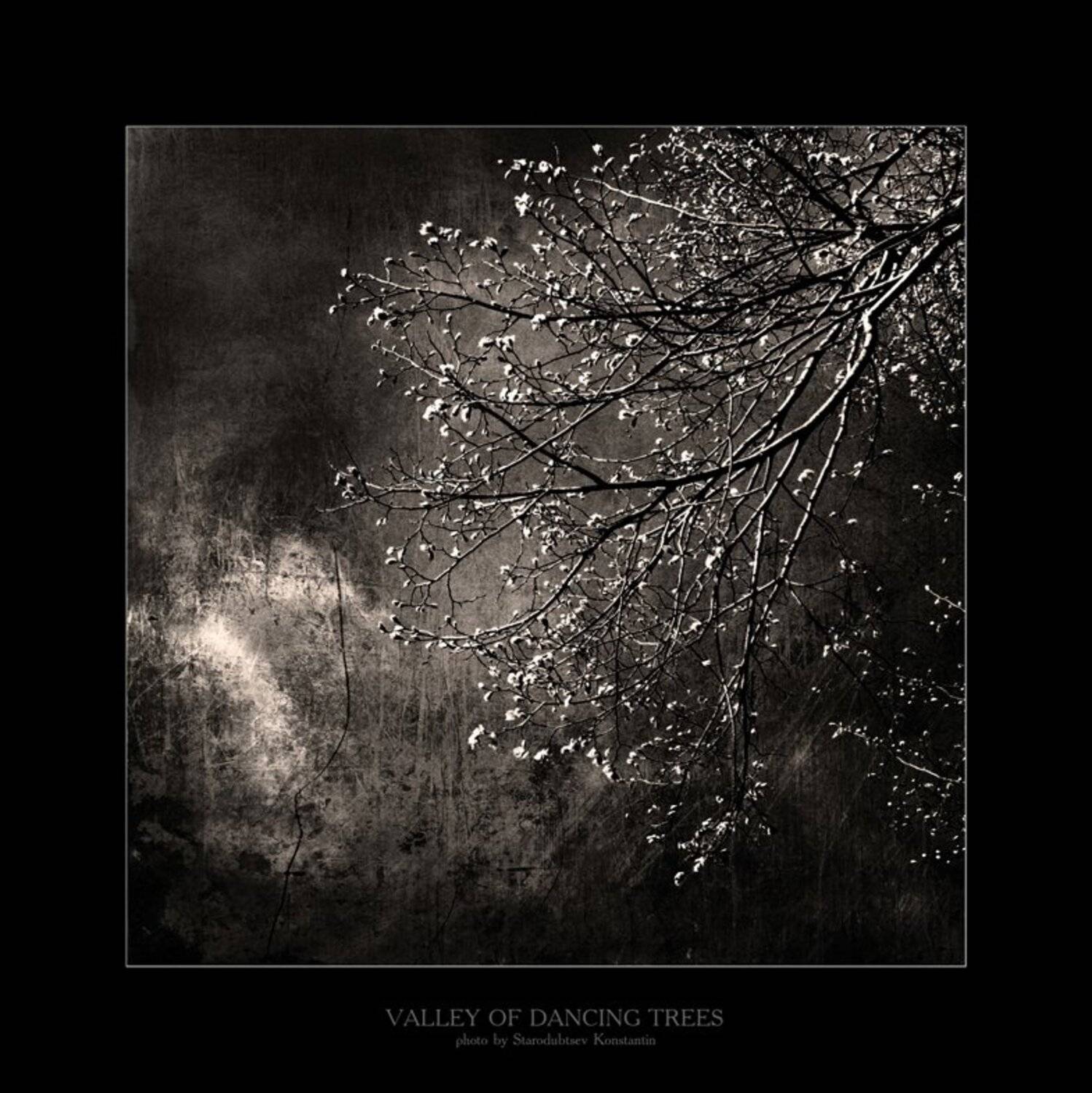 , Константин Стародубцев