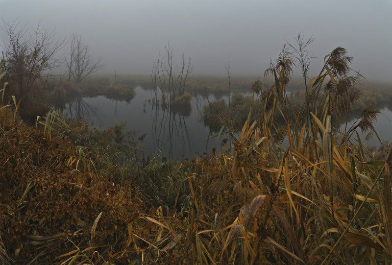 Fog over water ... фото превью