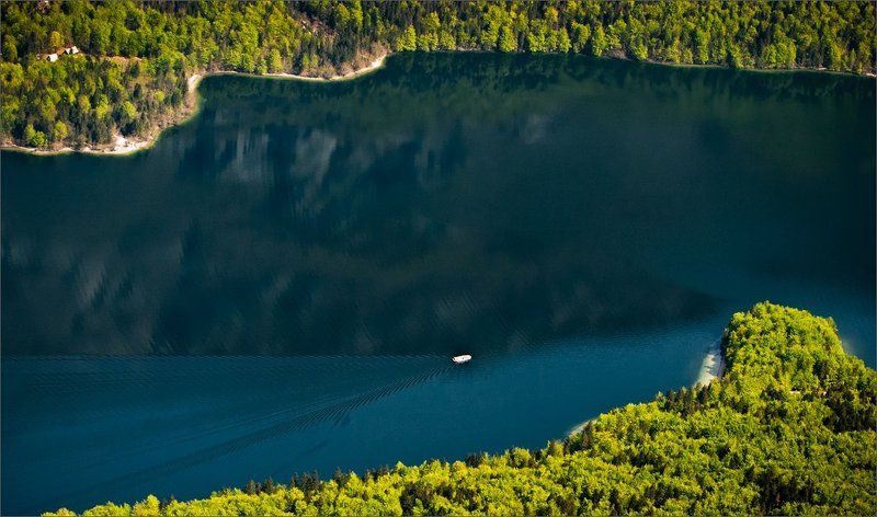 Из-под крыла ... фото превью