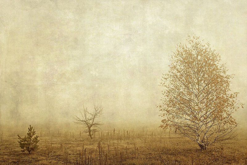 ...запах тумана... фото превью