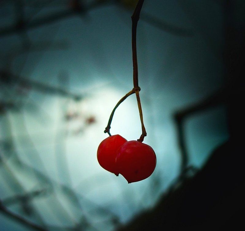 love is.... фото превью