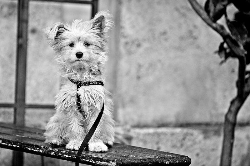 Where are you, mom? фото превью