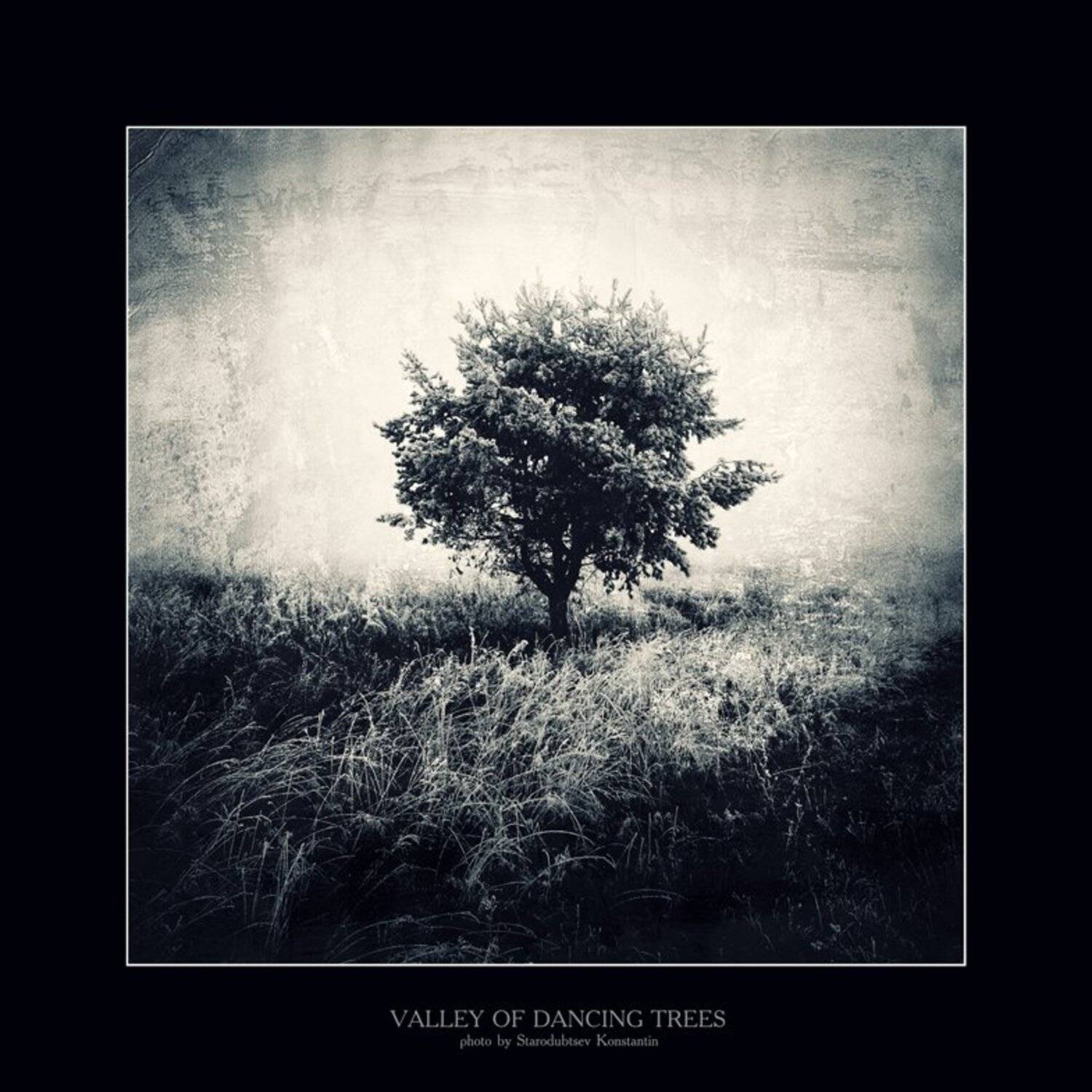 , Константин Стародубцев