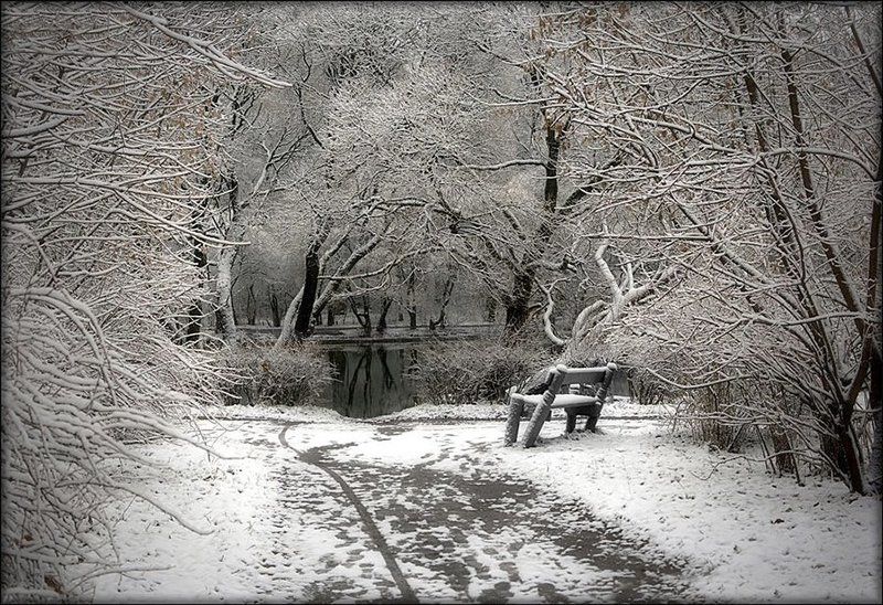 * фото превью