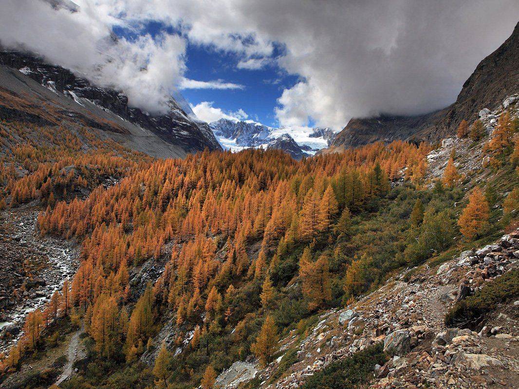 цермат, Матвеев Николай