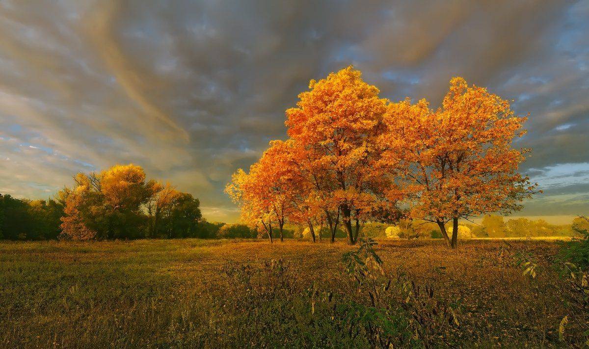 , Сергей Иванов