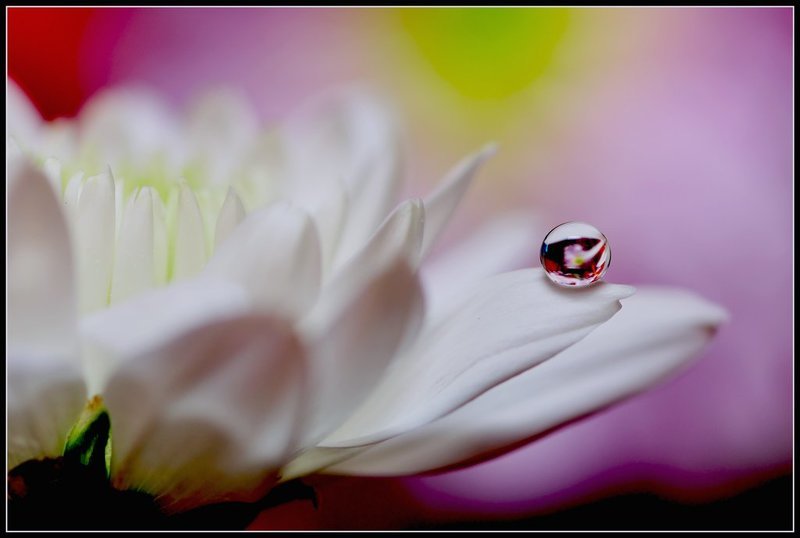 Тайны. фото превью