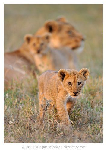 Хочу всё знать