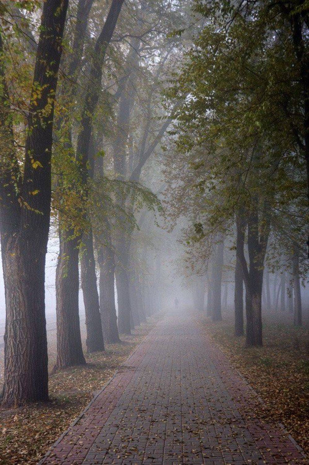 , Alexander Samofalov