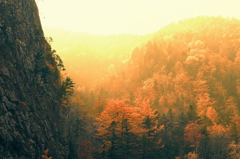 река, ван-чин, милоградовка, приморье, сихотэ-алинь, тайга, лес, осень, дымка, закат, каньон, скалы, останцы, ущелье В ущелье фото превью
