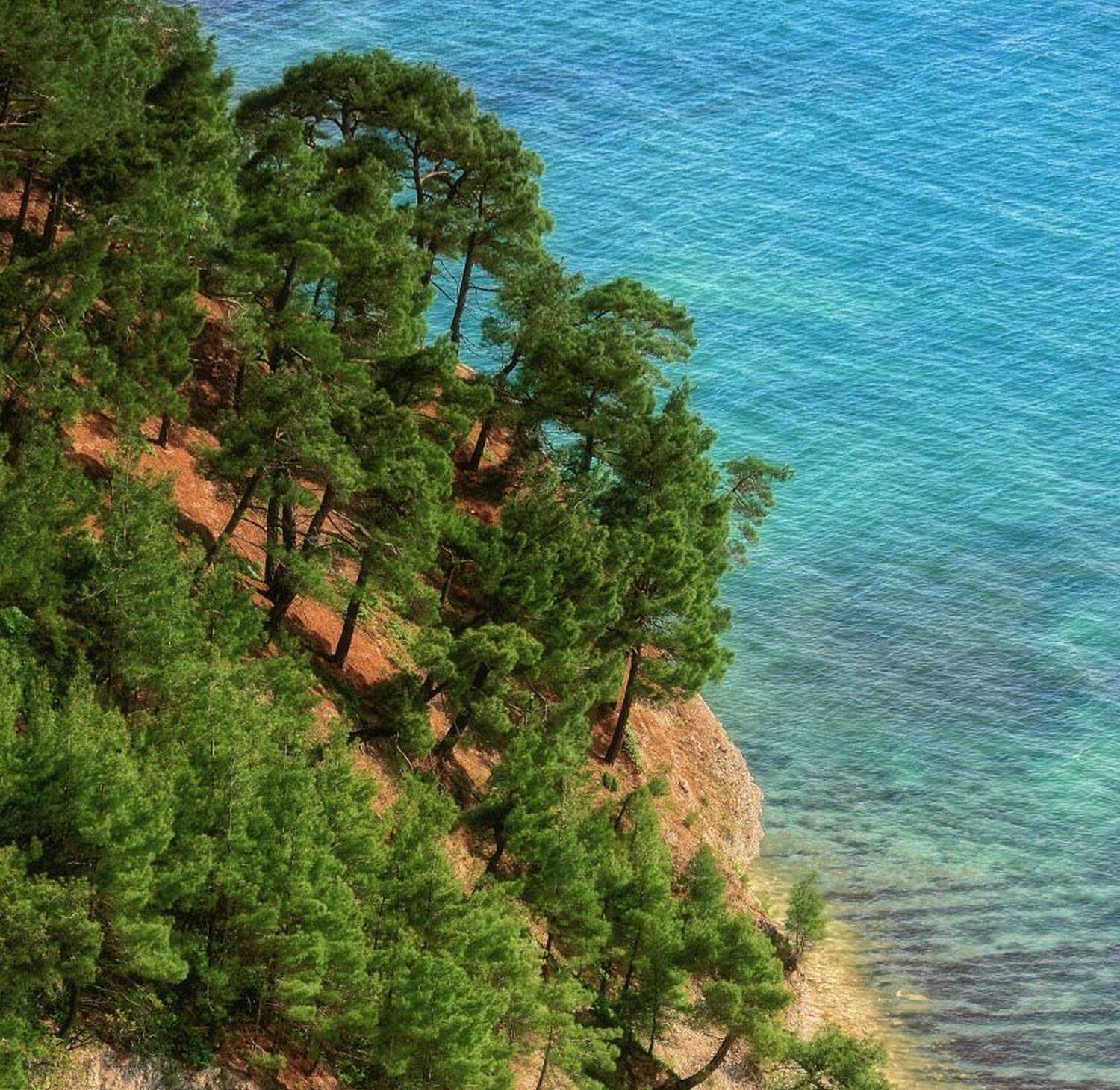 лето , море , сосны , пляж , тепло, Ерёменко Леонид