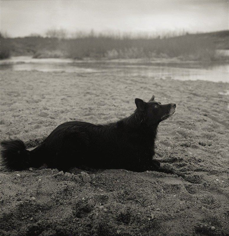 *** фото превью