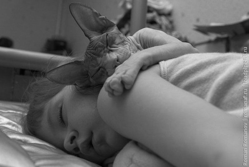 киса Ангел хранитель фото превью