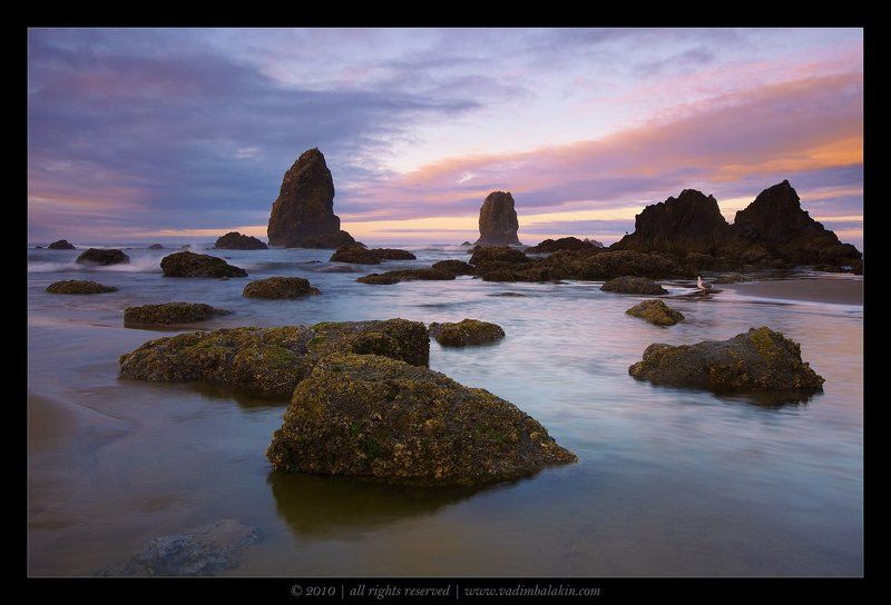 Brand New Day фото превью