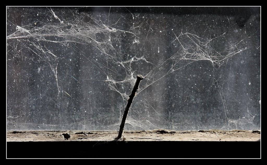 гвоздь, полет, крылья, мечты, Васенин Валерий