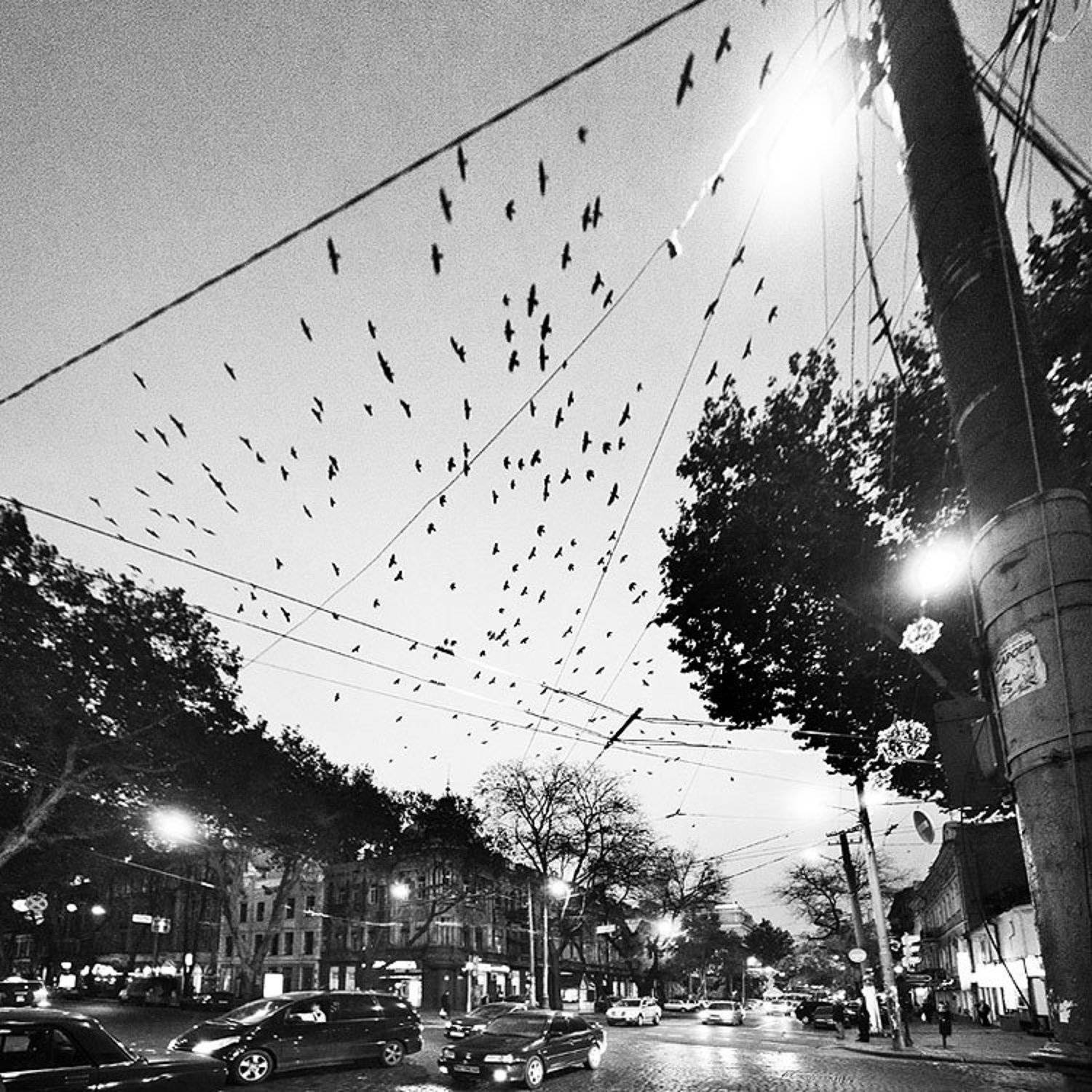 , Максим Юлдашев (maximyuldashev.ru)