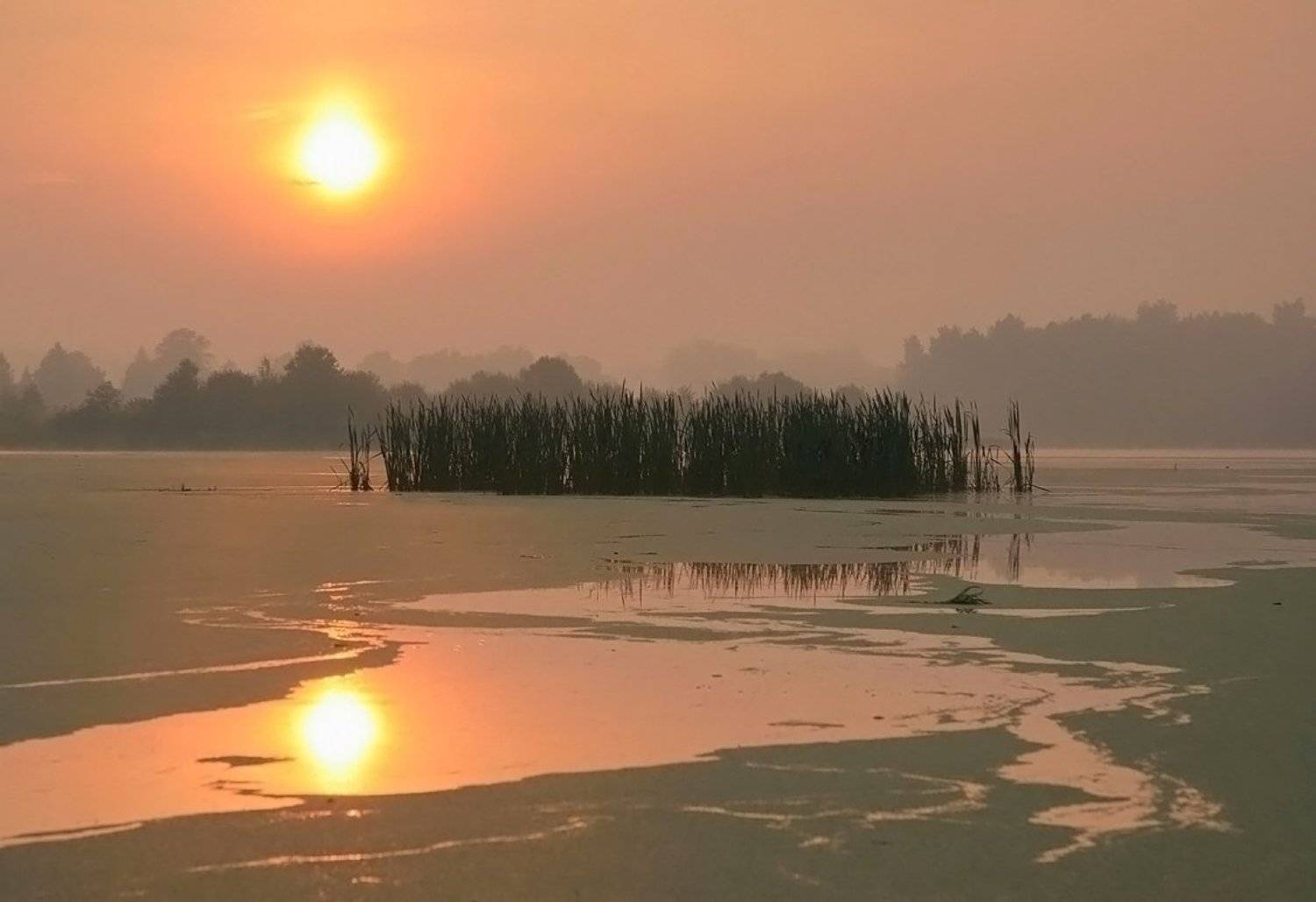 , Василий Черкасский