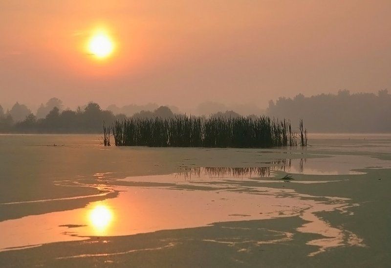 Утро фото превью