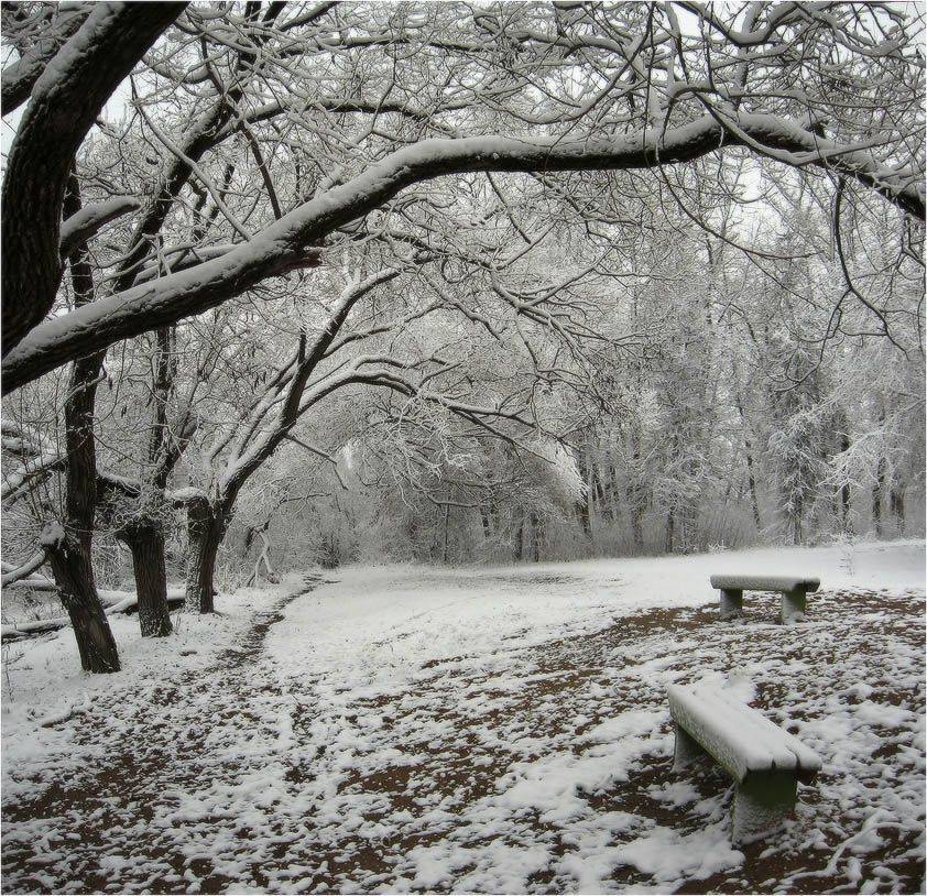 зима, снег, берег, КарОл