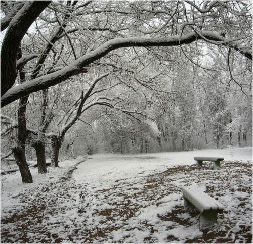 Первый снег 2