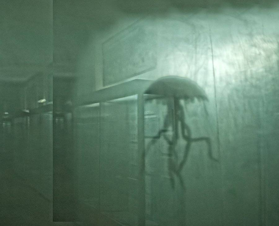 медуза, аквариум, вода, отражение,, Надежда