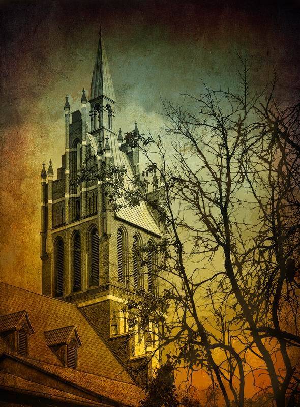 город, николай дмитрук