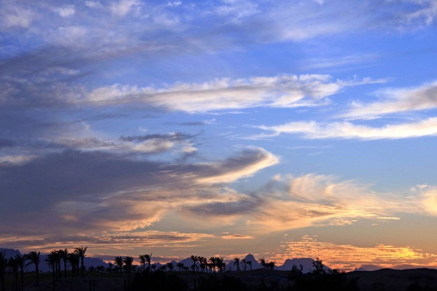 небо, египет, пальмы, облака, закат, Воронцова Наталья